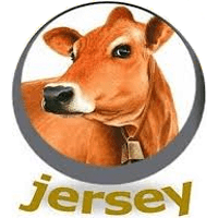gadojersey.com.br