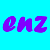 enz.com.br