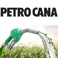 petrocana.com.br