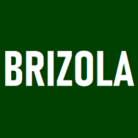 brizola.com.br