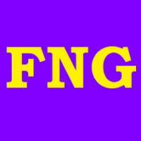 fng.com.br