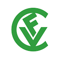 cfv.com.br