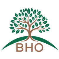 bho.com.br