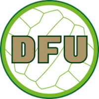dfu.com.br