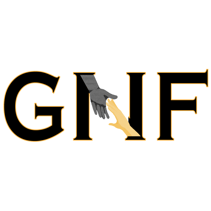 gnf.com.br